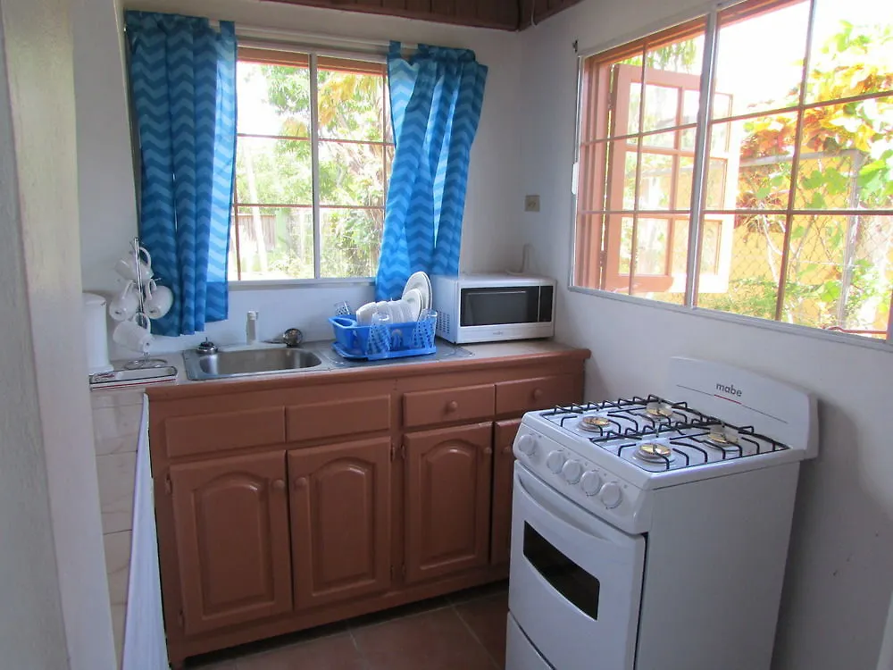 호텔 Ocho Rios Villa At Coolshade IV Saint Annʼs Bay