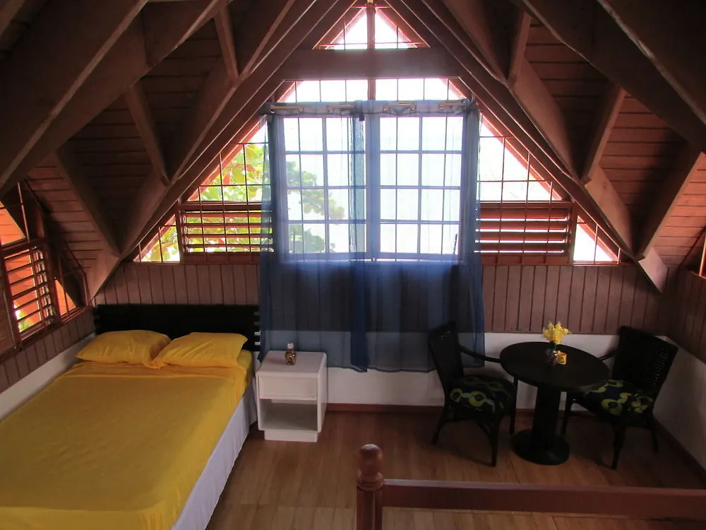 Ocho Rios Villa At Coolshade IV Saint Annʼs Bay Jamaica